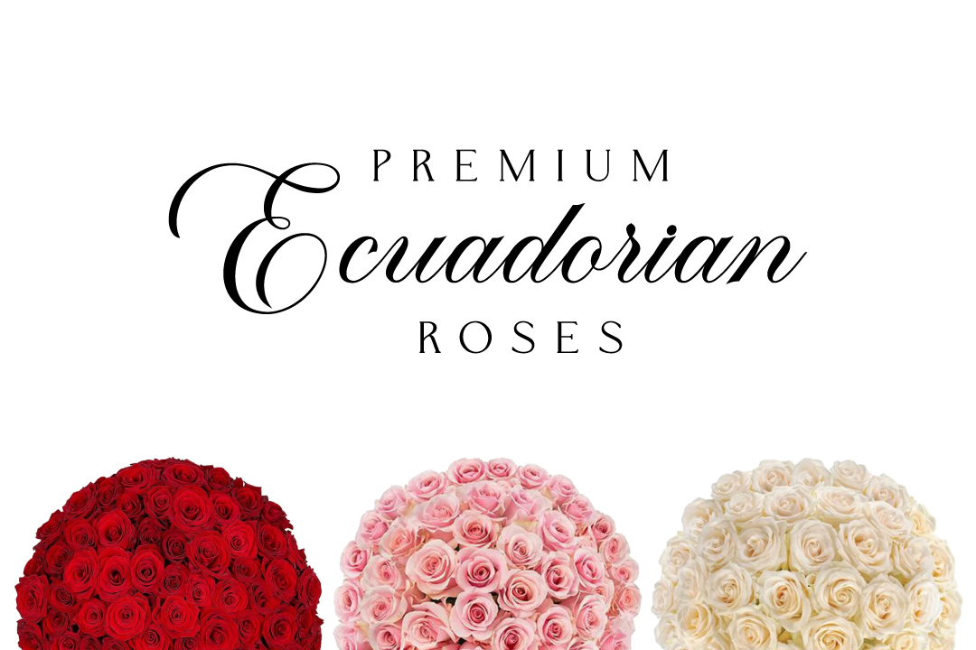 Atlanta Roses| Same-Day Roses Delivery in Atlanta GA – Bloom Haus & Co.