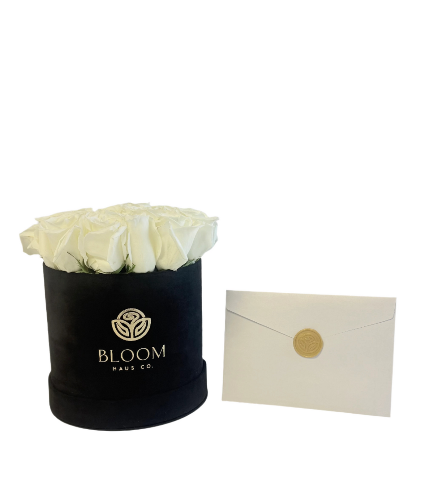 Black Bloom Box